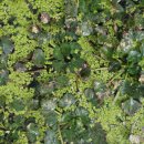 옥구저수지 이미지