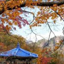 JIRI VALLEY 이미지