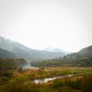 곡성-111 이미지