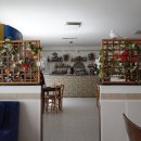 VICOLO(PIZZERIA)