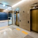 블루마리 이미지