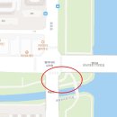 탄천 벚꽃이 활짝 내 마음도 활짝 <b>갠소</b>하고픈 산책로 엄지척!