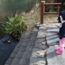 천지연산책로(폭포안) 이미지