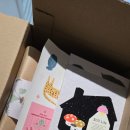 주식회사 아잇 | [후기] 포쉐뜨 패브릭 중형 식물 호프셀렘 내돈내산 후기 인테리어 추천템!!