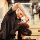 Grooming pet(그루밍펫) 이미지