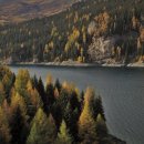 두손피카디리빌딩 이미지