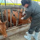 김태성농장 이미지