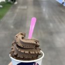 강송로+일산로 | [11월 9일][부제: 시간순삭 장기취준생의 돼지런한 일상!part.2]