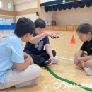 오갑초등학교 이미지