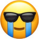 파티이머지