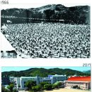 삼산초등학교 이미지