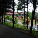 포회천 Daum카페