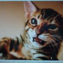 생활 중국어(기초) 이미지