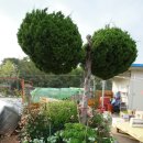 증산민박 이미지