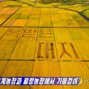 월랑농장 이미지