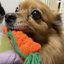 우리할매떡볶이 부천역곡점 이미지