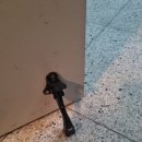 정관열쇠도어락