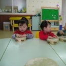아마데우스악기 이미지