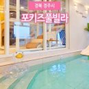 포키즈풀빌라A 네이버블로그