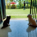 뷰티펫 하우스 이미지