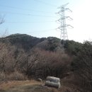 환주농장 Daum카페