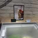 와플 PC 시즌 Ⅱ | [대전] 애슐리퀸즈 NC 중앙로역점 | 평일 디너 내돈내산 (주차, 이용 가격, 메뉴, 예약)