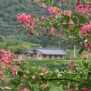 모정다방