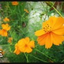 공감공간 이미지