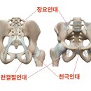 경희유엔한의원 이미지