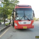 세종시청뒤편 티스토리