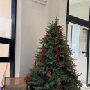 뿌리깊은나무 | [동두천] 뿌리깊은나무 카페 솔직 후기｜넓고·주차 편한 디저트 카페