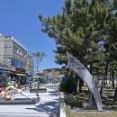 낙산해변야영장 이미지