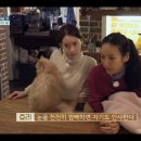 고양이민박 이미지