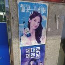 권실장참마찹쌀꽈배기영주역점 이미지