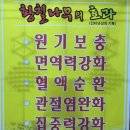 한방한재골하얀집 이미지