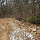 해남군-07 이미지