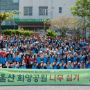 희망나무심기2 이미지