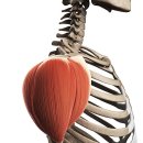 이안에서 PT 인창점 이미지