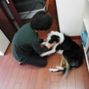 땡칠아놀자 이미지