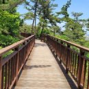 삽교천자전거길 이미지