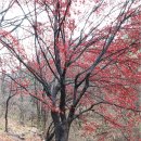 골안 약수터 이미지