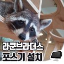 라쿤브라더스 네이버블로그
