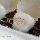 포슬린페인팅아트스쿨본원 이미지