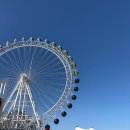 동해수산 50번 | 2026년 2월 강원도 1박 2일 여행: 고성·속초·양양 먹방 코스 (백촌막국수 가격/주차 꿀팁)