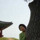 (주)자연들