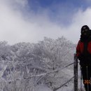 소백산 티스토리