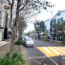 왕왕작작 이미지