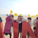 새장유어린이집 이미지