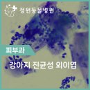 초읍동물병원 이미지