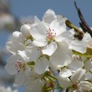 물안마을 이미지